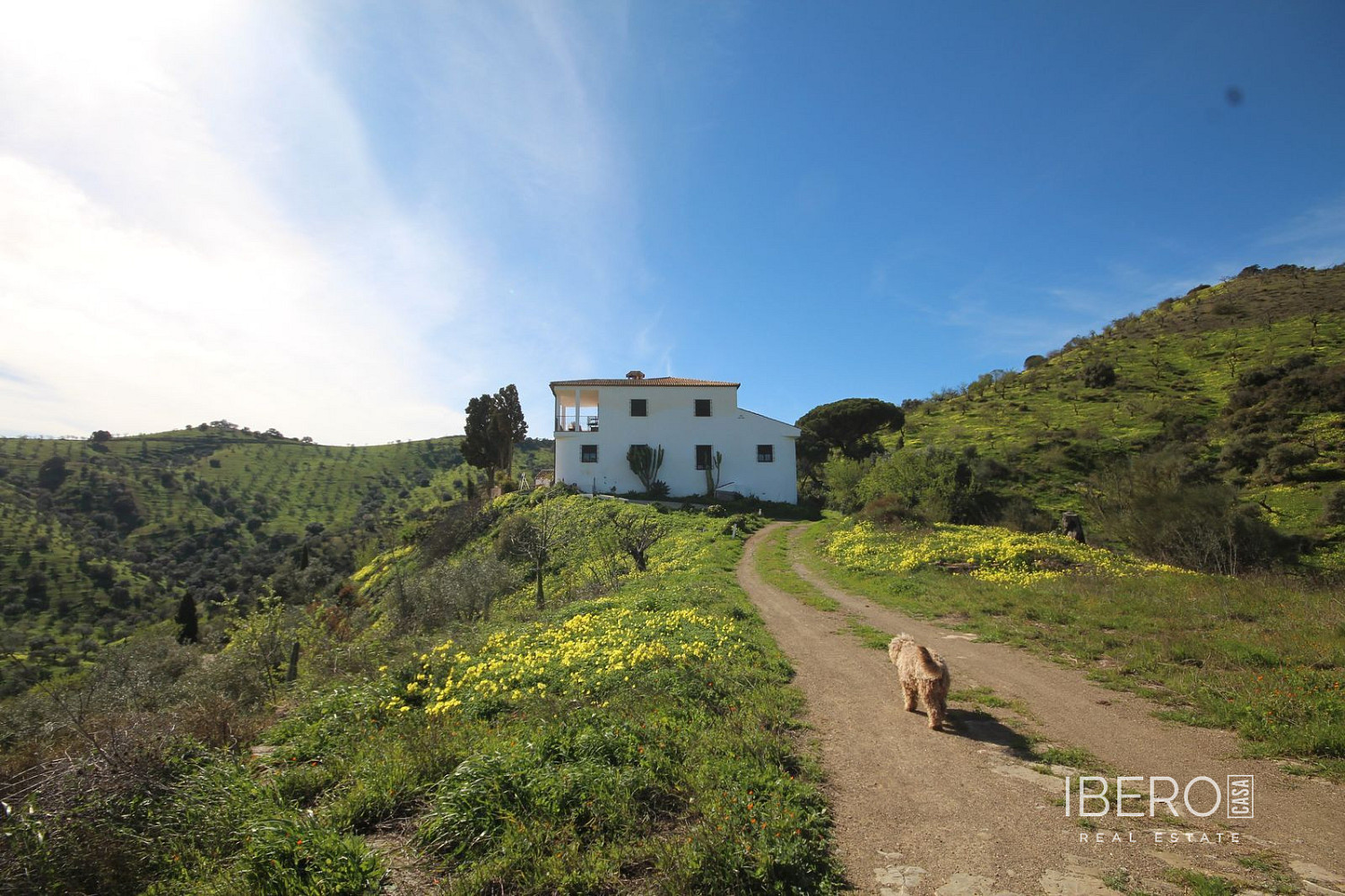 Casa – Almogía, Valle del Guadalhorce - Vista 4