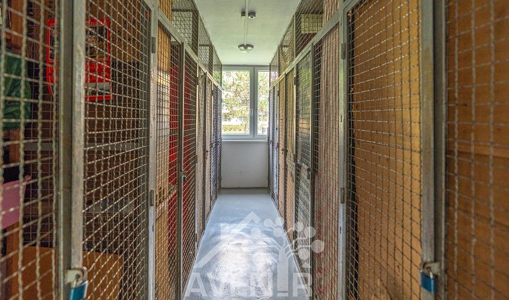 Prodej bytu 4+kk 72 m², Napajedla – náhled fotky 46
