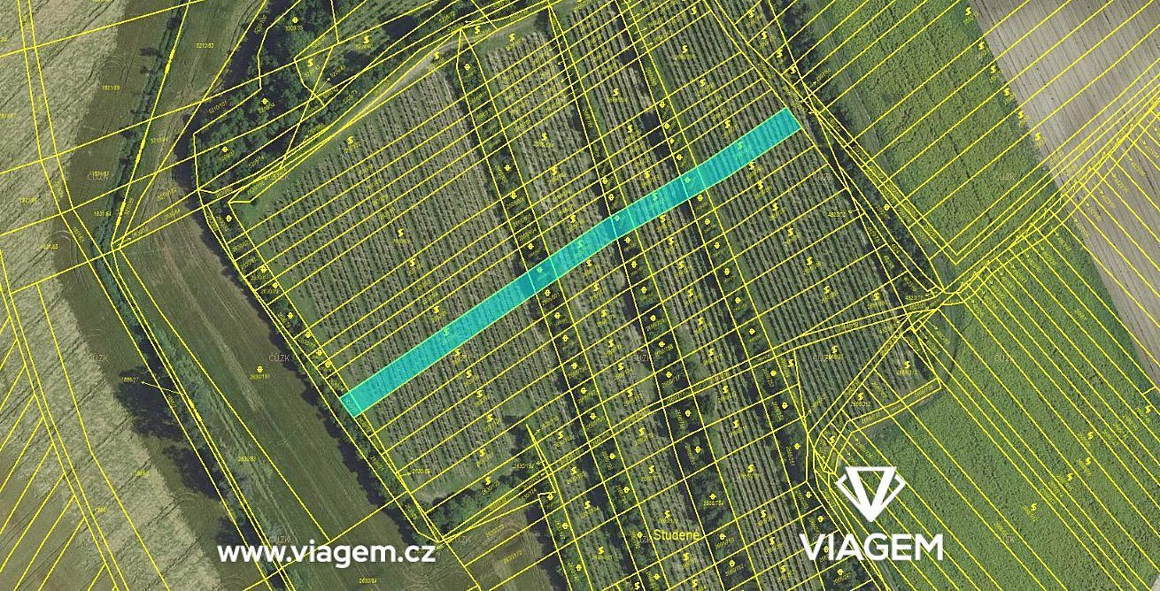 Prodej pole 2 053 m² – fotografie 2