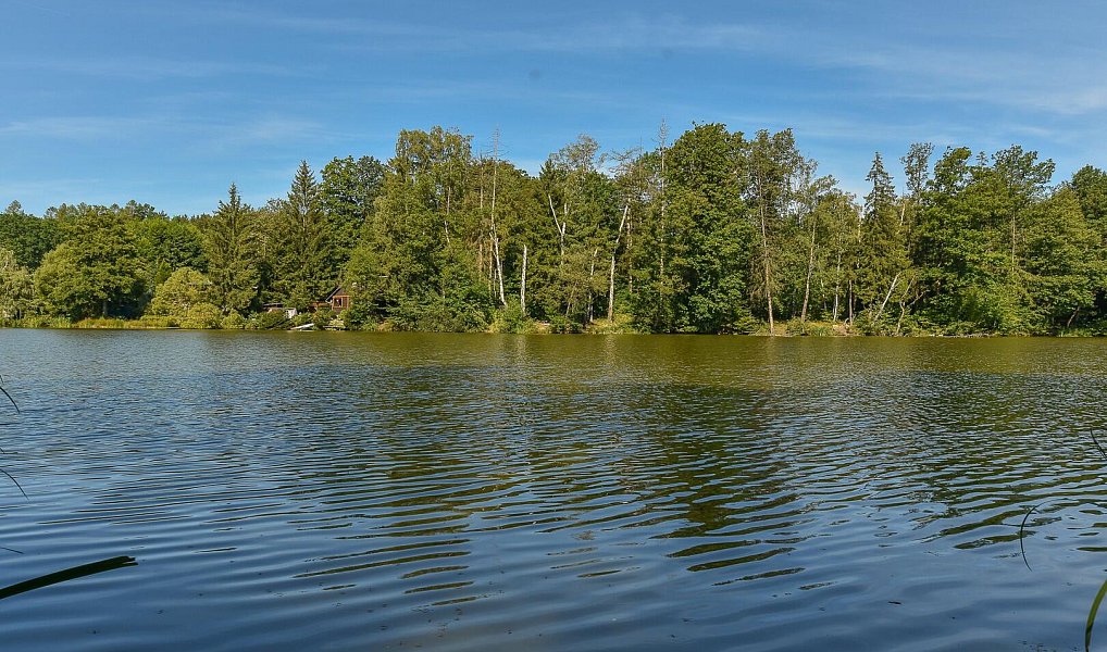 Prodej chaty/chalupy 53 m² s pozemkem 329 m², Třemošnice – náhled fotky 21