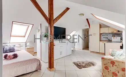 Pronájem bytu 1+kk 39 m²