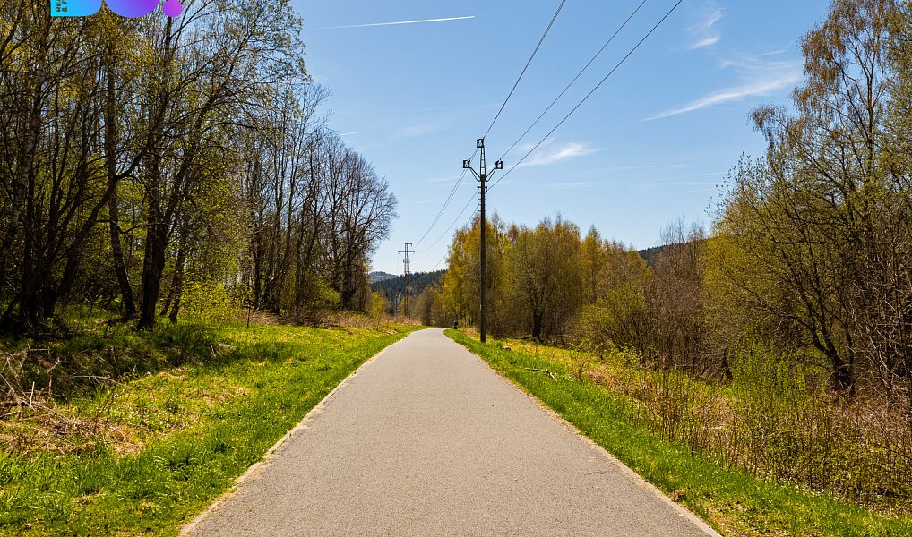 Prodej stavebního pozemku 2 509 m², Železná Ruda – náhled fotky 8