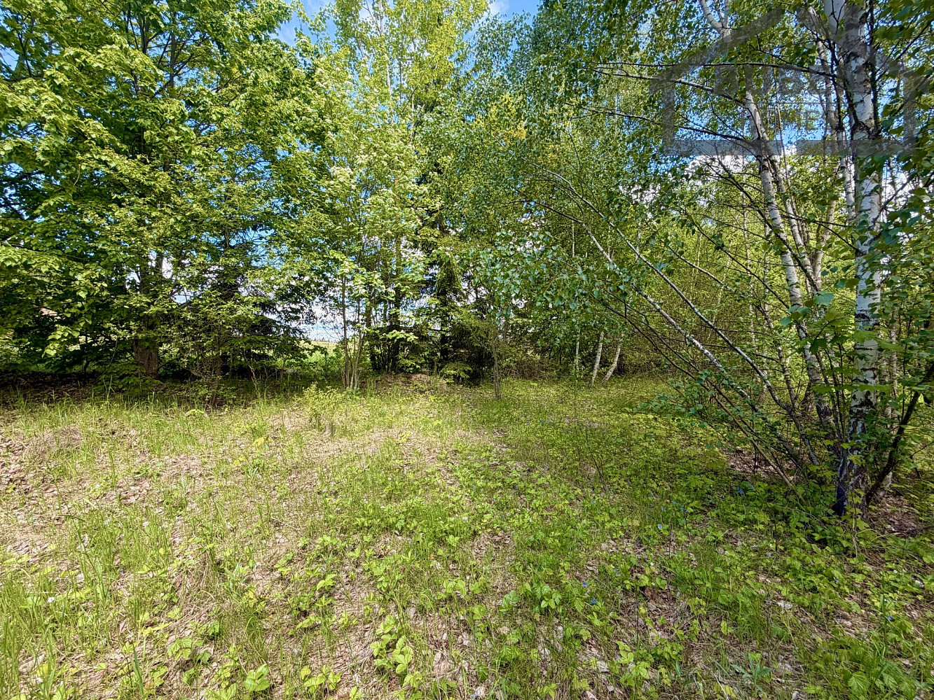 Prodej stavebního pozemku 435 m² – fotografie 4