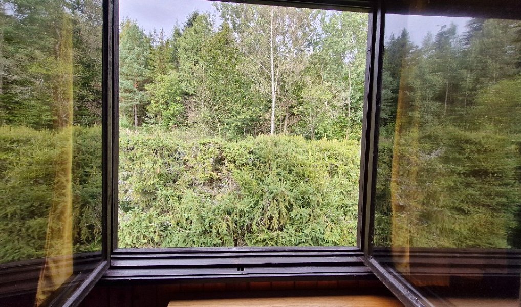 Prodej chaty/chalupy 90 m² s pozemkem 832 m², Valšov – náhled fotky 14