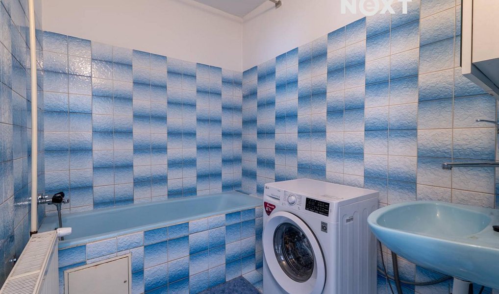 Prodej domu 240 m² s pozemkem 1 150 m², Boršice u Blatnice – náhled fotky 9