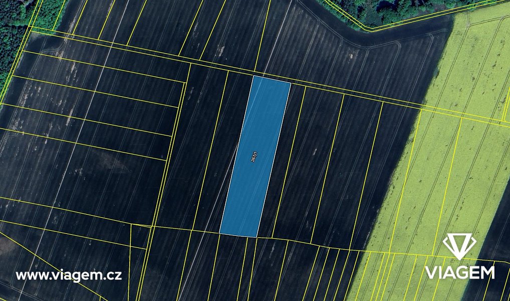 Prodej pole 2 488 m², Moravské Budějovice – náhled fotky 4