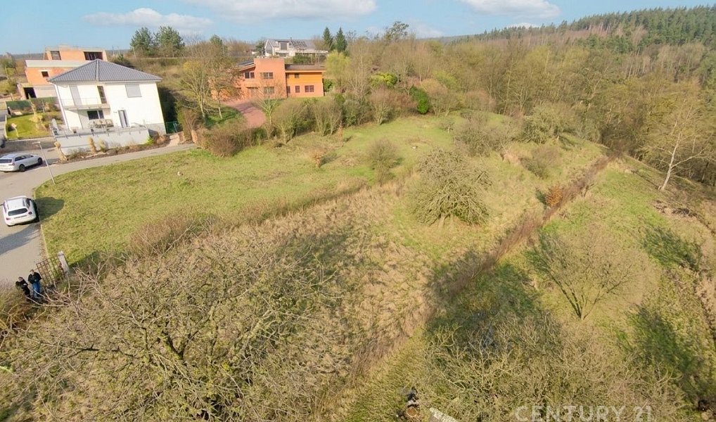 Prodej stavebního pozemku 1 348 m², Bílovice nad Svitavou – náhled fotky 13