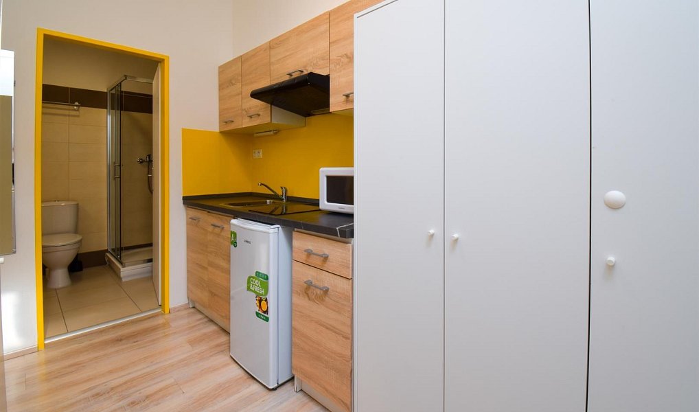 Pronájem bytu 2+1 31 m², Brno – náhled fotky 4