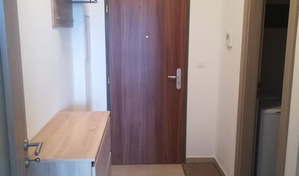 Pronájem bytu 1+kk 31 m², Plzeň – náhled fotky 9