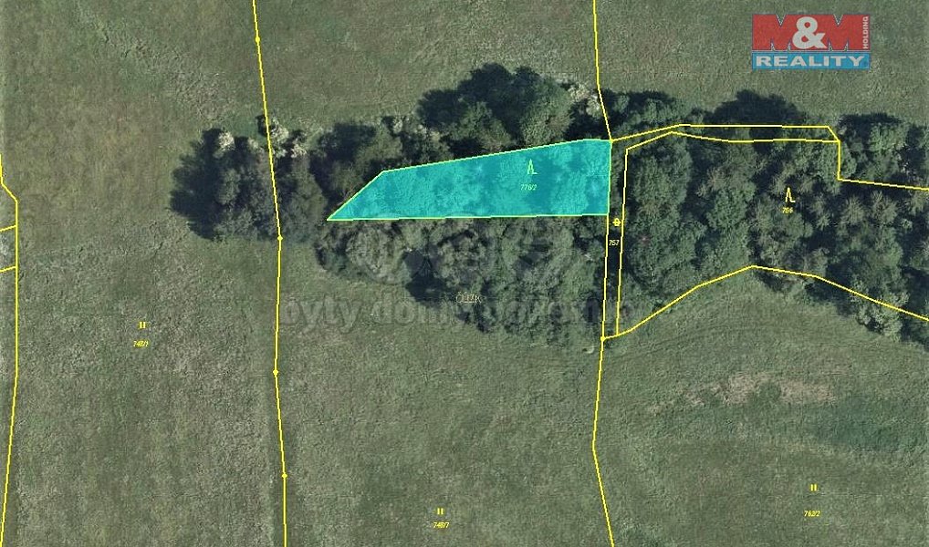 Prodej lesa 725 m², Velká Bukovina – náhled fotky 2