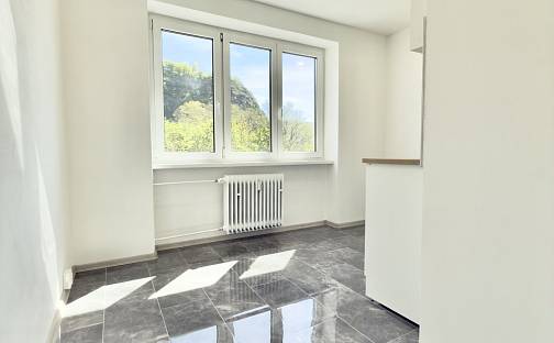 Prodej bytu 2+1 50 m², Důlce, Ústí nad Labem - Ústí nad Labem-centrum