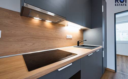 Pronájem bytu 4+kk 103 m², Sirotkova, Brno - Žabovřesky