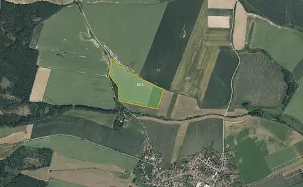 Prodej louky 87 920 m², Přeštice - Skočice, okres Plzeň-Jih