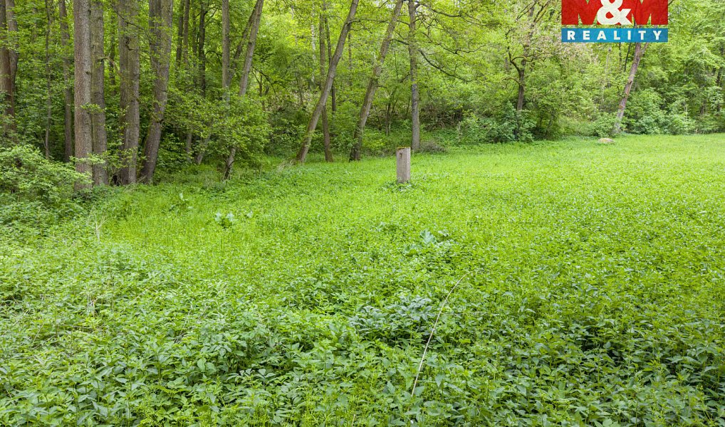Prodej lesa 491 m², Červené Pečky – náhled fotky 7