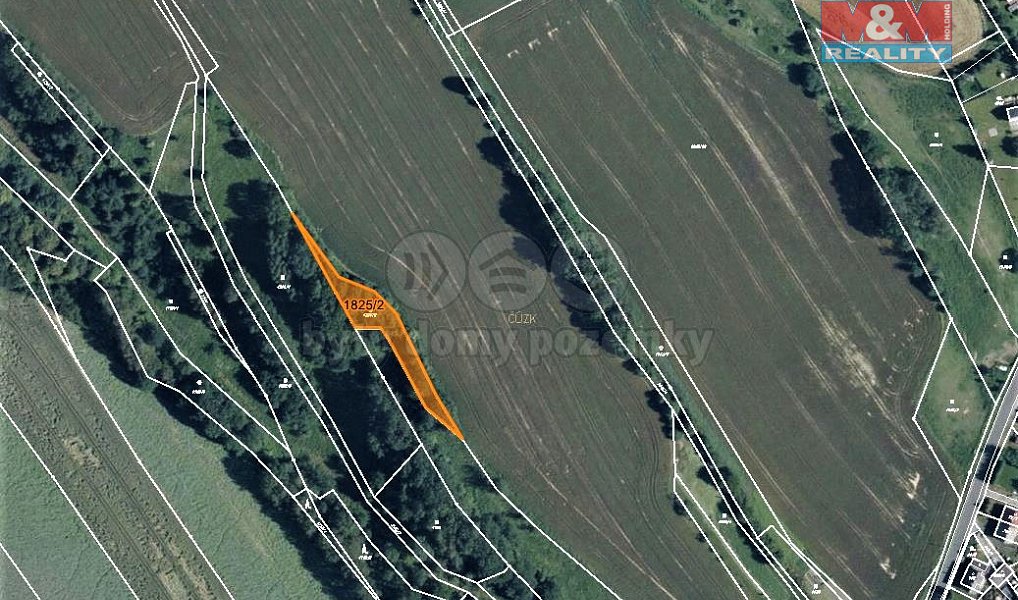 Prodej lesa 1 219 m², Dubnice – náhled fotky 4