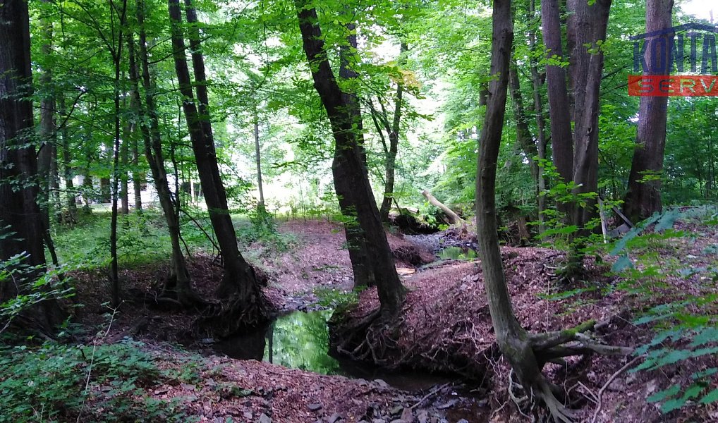 Prodej lesa 2 404 m², Hrabyně – náhled fotky 2