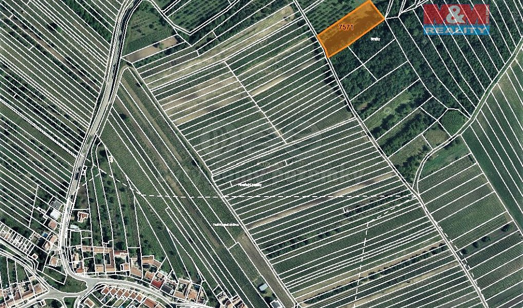 Prodej pole 940 m², Kobylí – náhled fotky 3