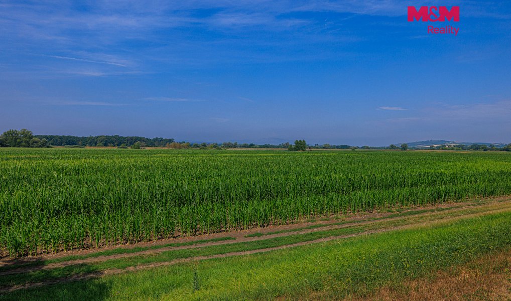 Prodej pole 9 227 m², Podivín – náhled fotky 3