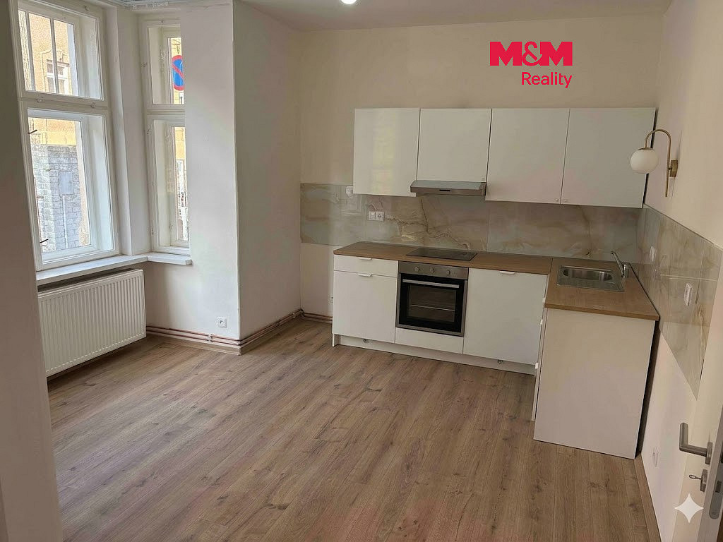 Pronájem bytu 1+1 48 m²