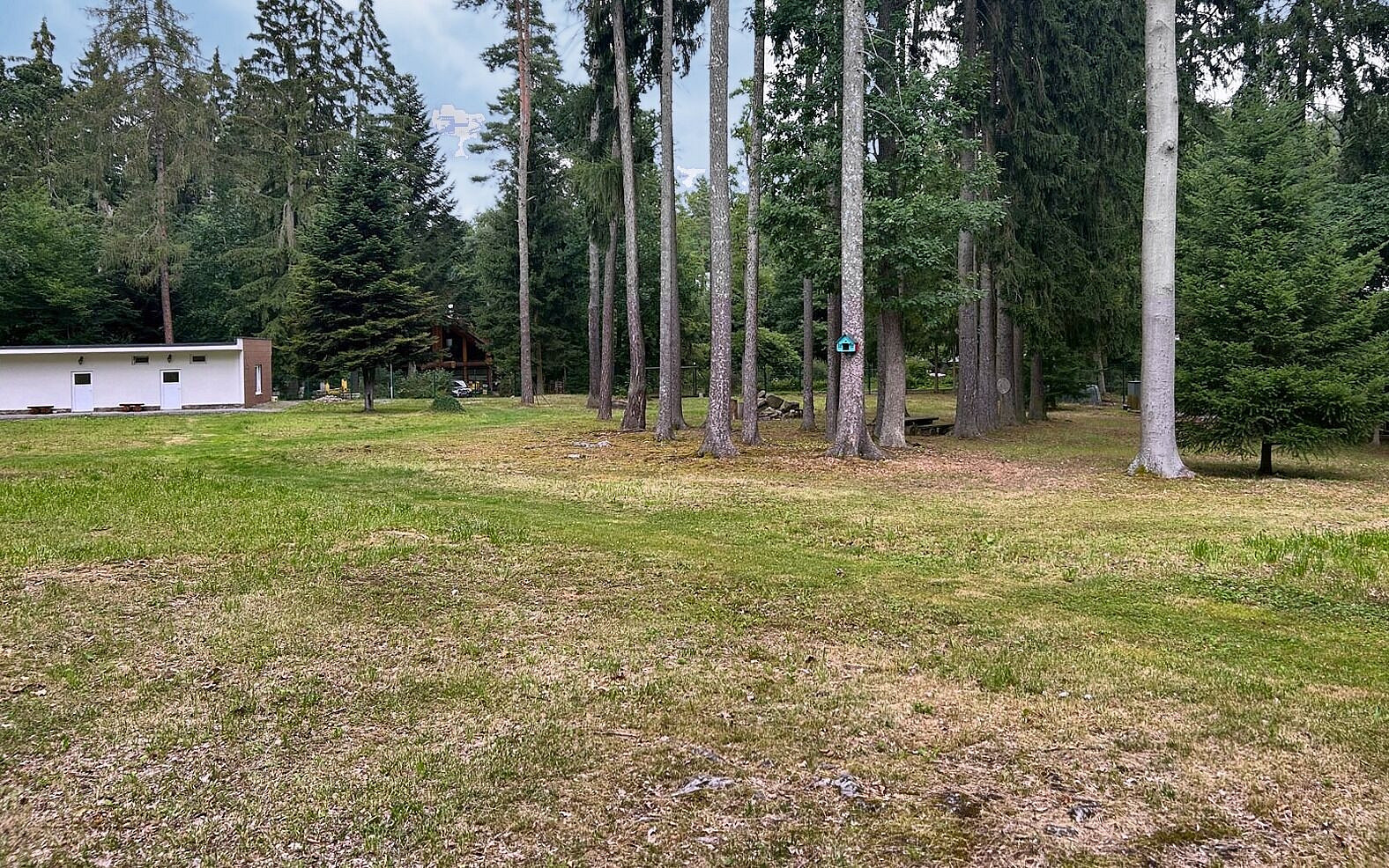 Prodej stavebního pozemku 8 498 m² – fotografie 4