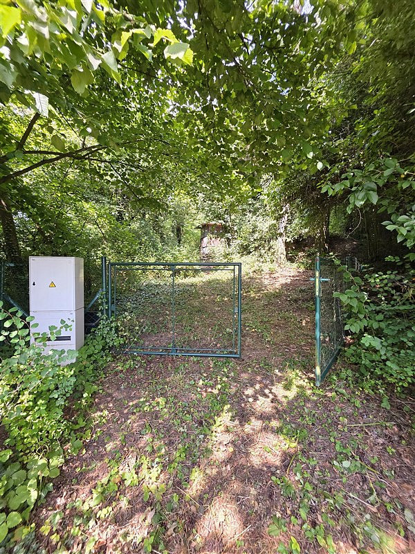 Prodej zahrady 983 m² — photo 4