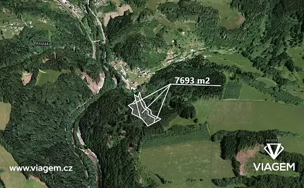 Prodej lesa 3 846 m², Poniklá, okres Semily