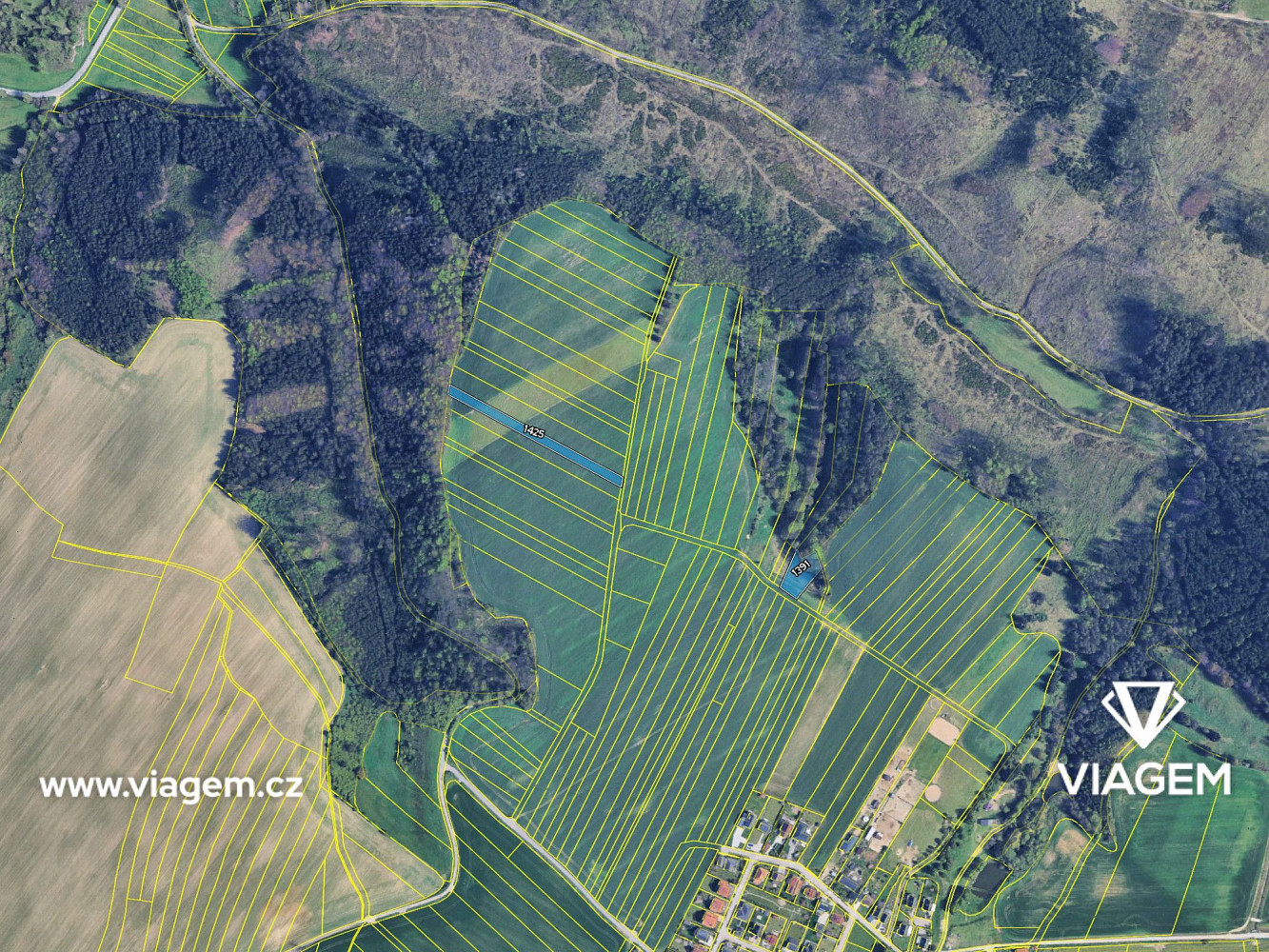 Prodej pole 3 777 m² – fotografie 4