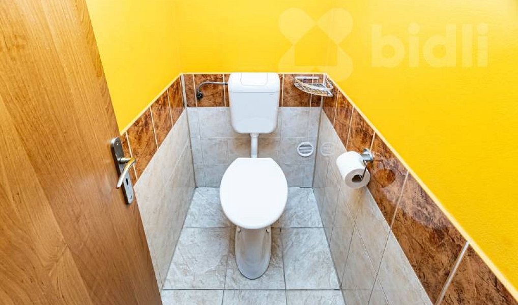 Prodej komerčního objektu (jiného typu) 302 m², Javorník – náhled fotky 33