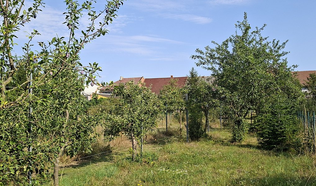 Prodej zahrady 894 m², Troubky – náhled fotky 6