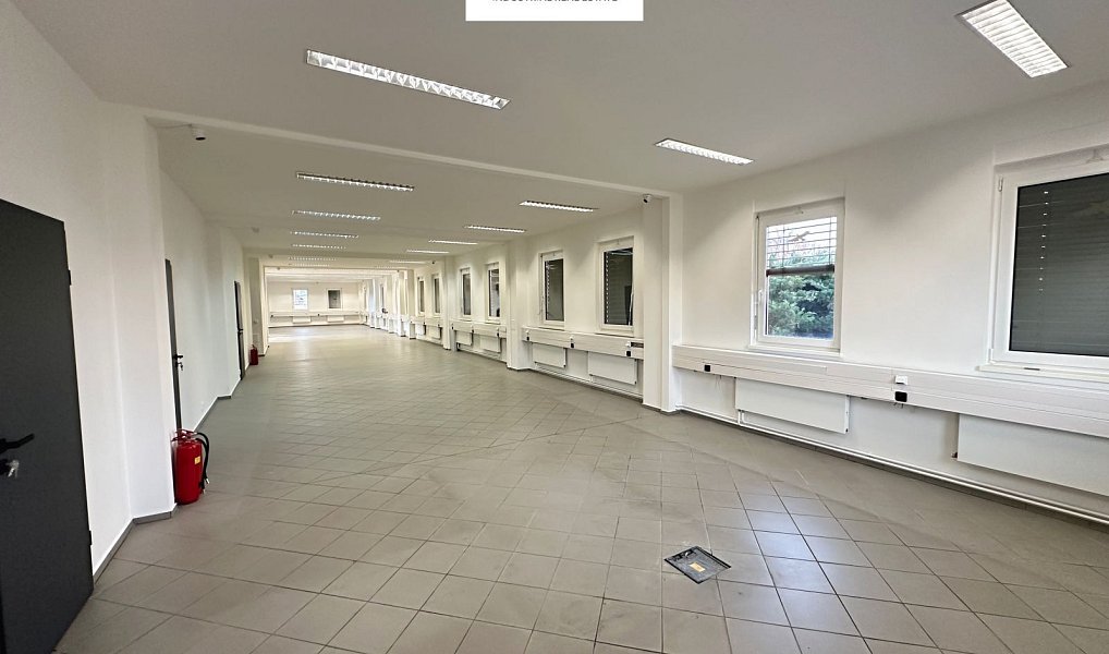 Pronájem obchodních prostor 449 m², Nupaky – náhled fotky 4