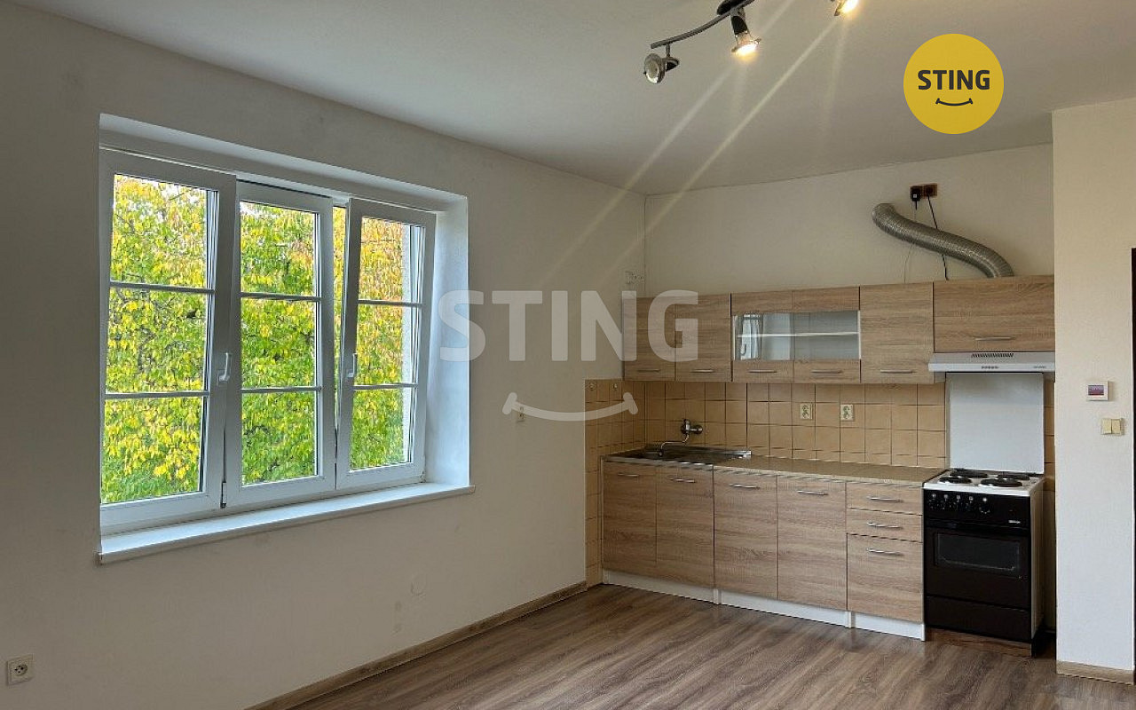 Pronájem bytu 1+kk 35 m²