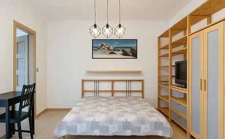 Pronájem bytu 1+1 31 m², Rotalova, Brno - Husovice