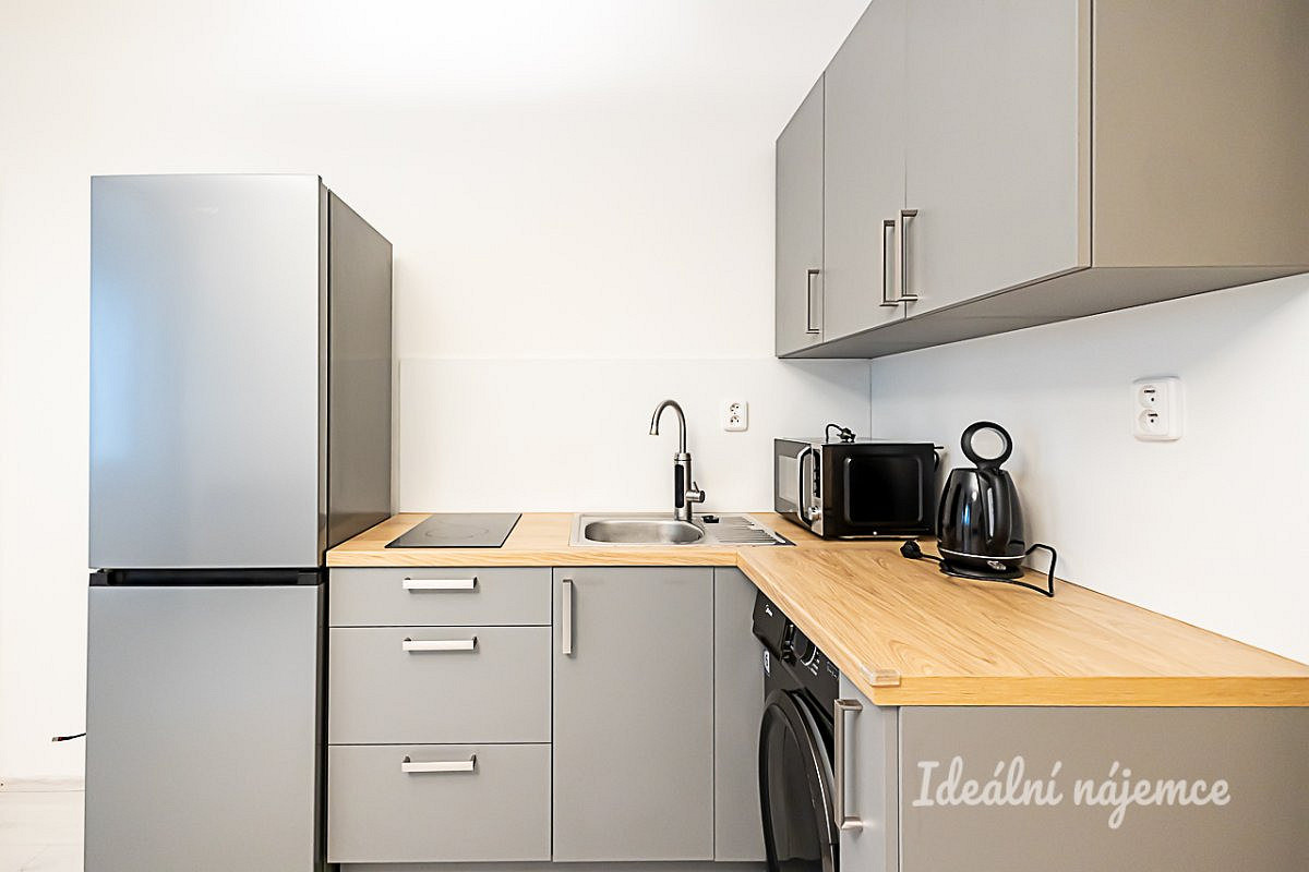 Pronájem bytu 1+kk 27 m² - View 4