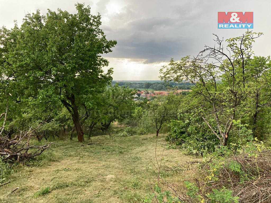 Prodej chaty/chalupy 15 m² s pozemkem 1 152 m² – fotografie 5