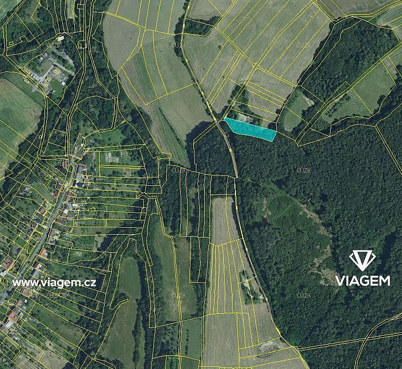 Prodej lesa 720 m² – fotografie 2