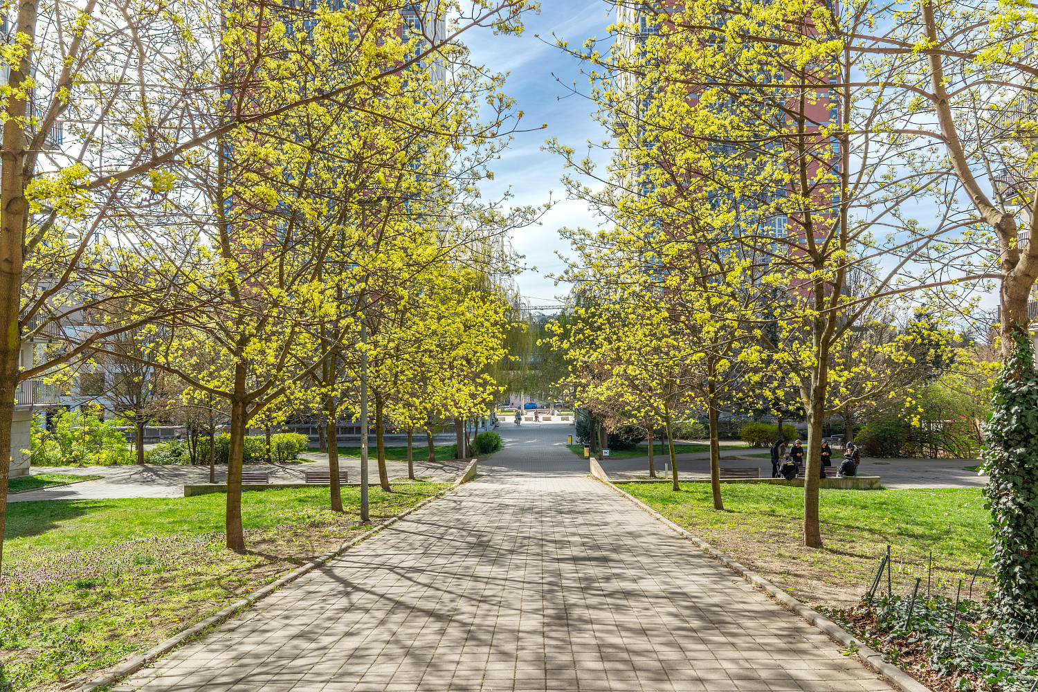 Prodej bytu 2+kk 48 m² – fotografie 2