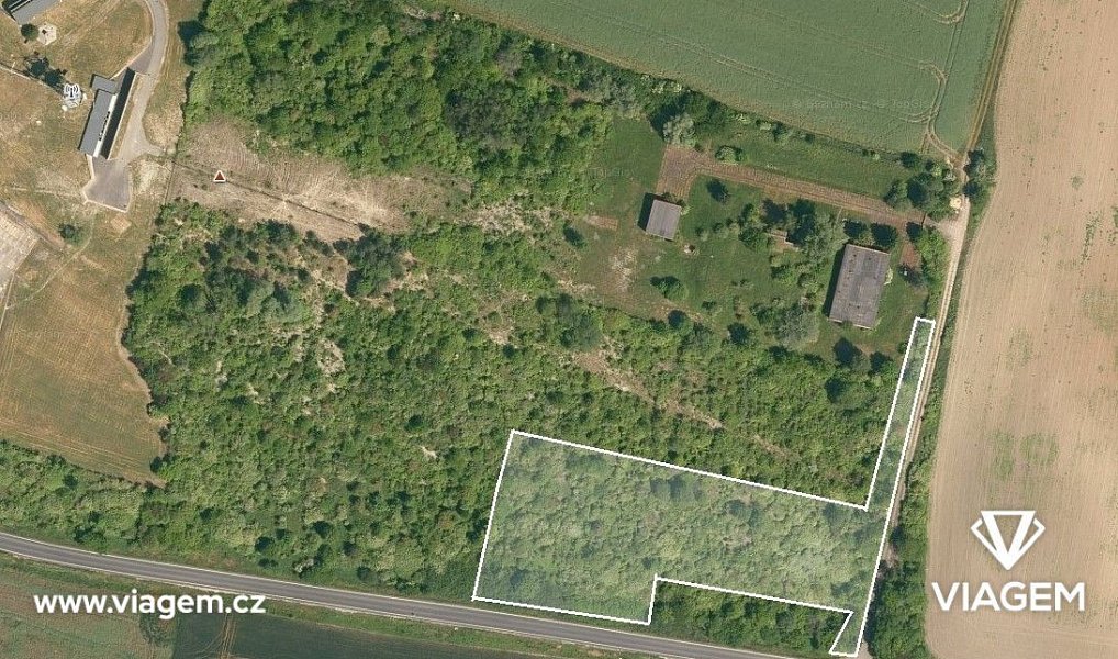Prodej pole 2 343 m², Dolní Slivno – náhled fotky 3