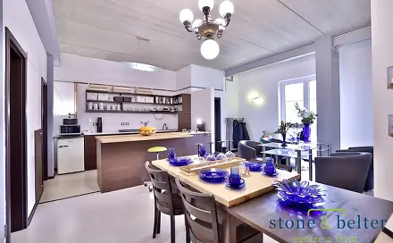 Prodej ubytovacího objektu 394 m², Slovenská, Kolín - Kolín II
