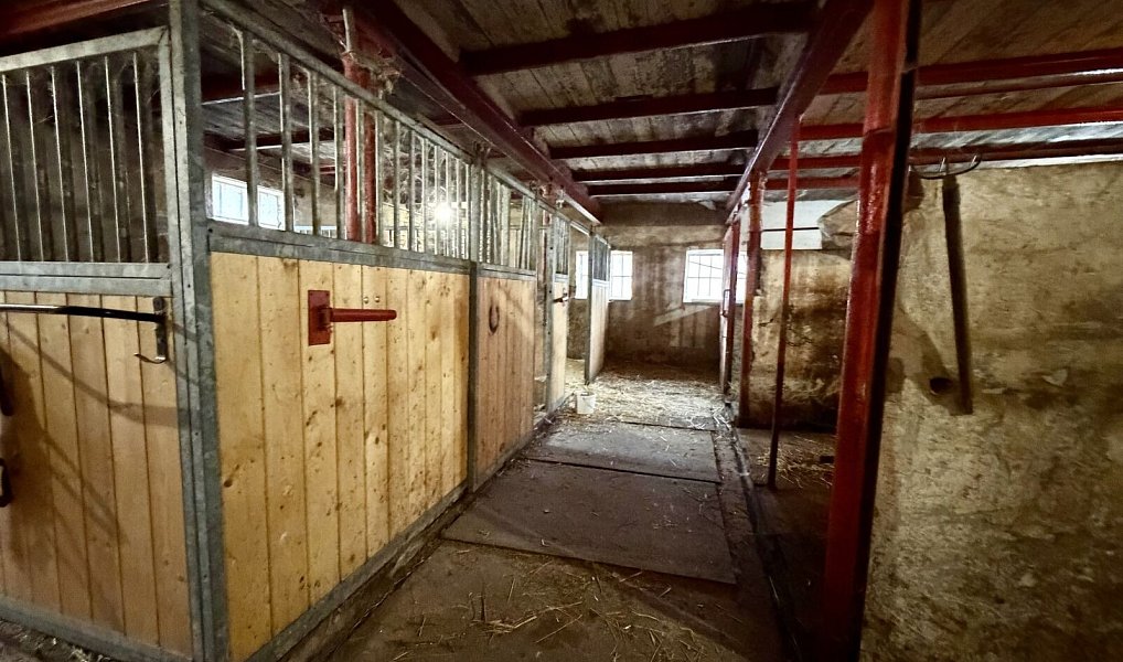 Prodej zemědělského objektu 354 m², Malhotice – náhled fotky 32