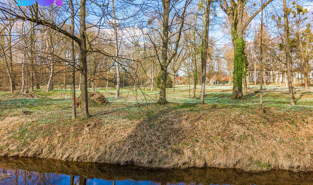 Prodej stavebního pozemku 970 m², Sedlnice – náhled fotky 9