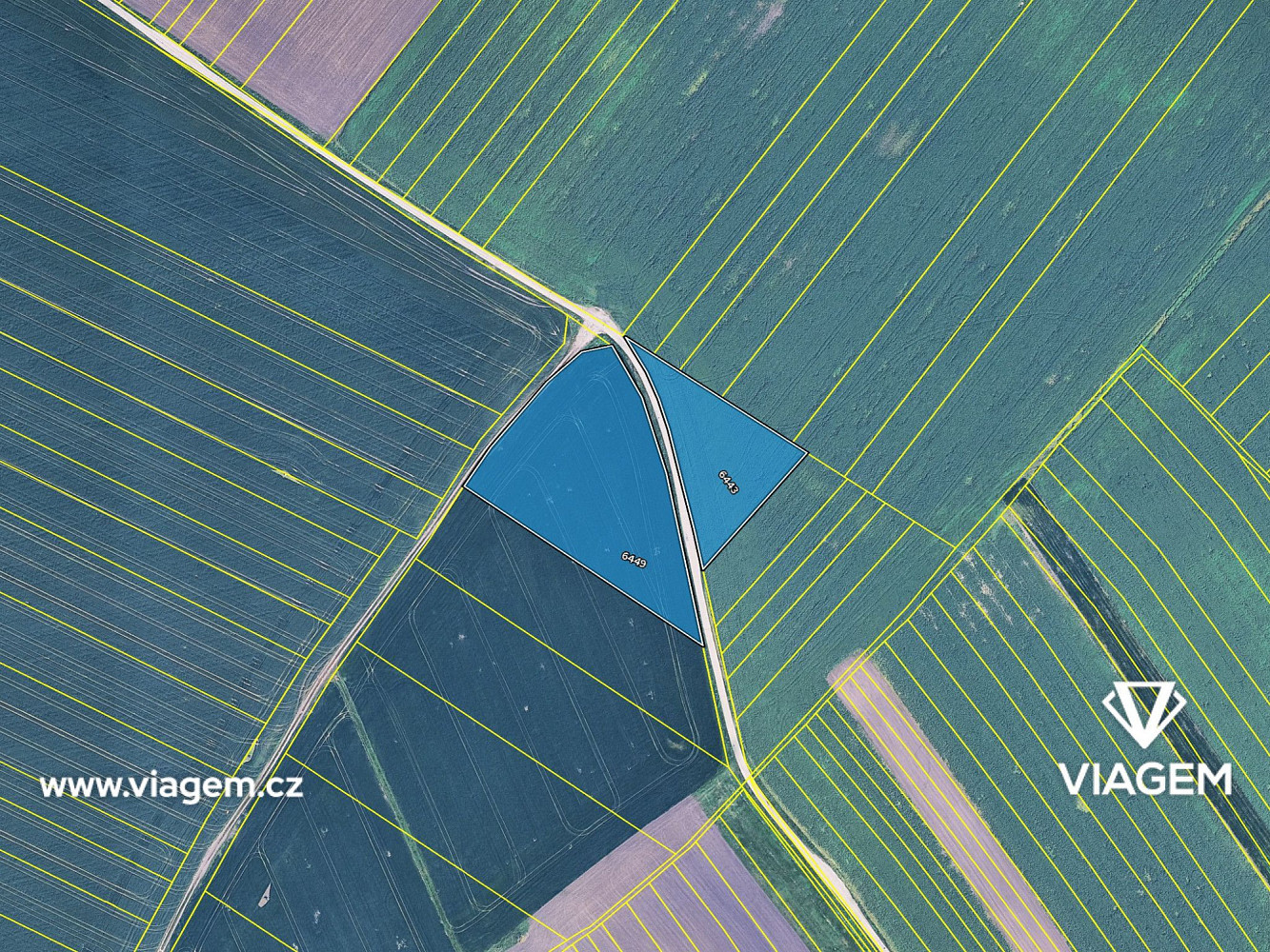 Prodej pole 2 132 m² – fotografie 4