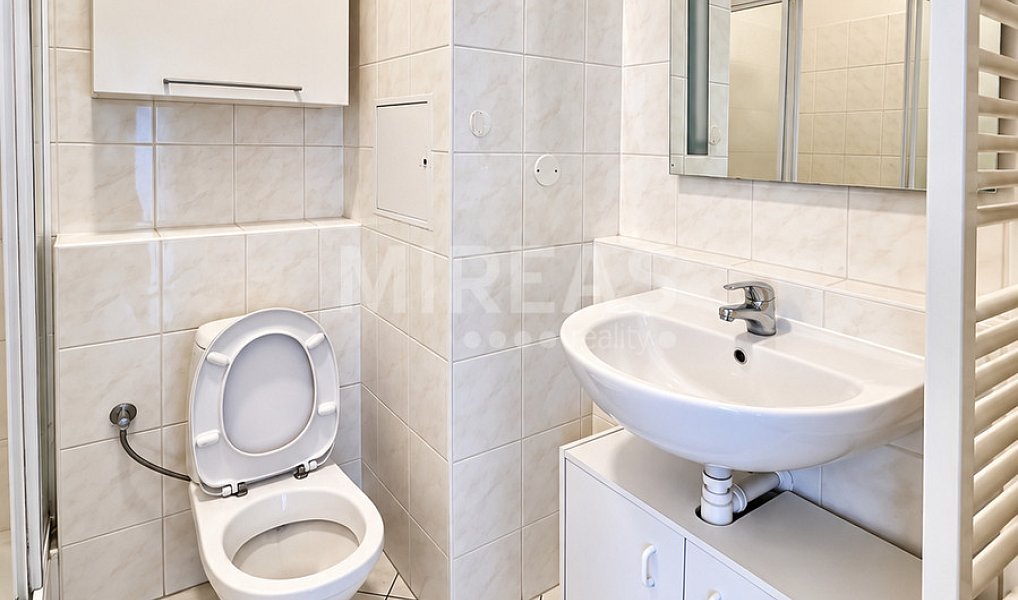 Pronájem bytu 1+kk 35 m², Milovice – náhled fotky 7