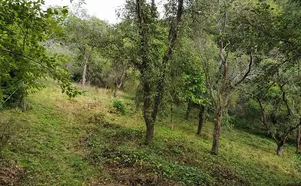 Prodej zahrady 1 984 m², Hýskov, okres Beroun
