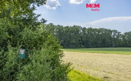 Prodej lesa 11 971 m², Bohuslavice, okres Náchod