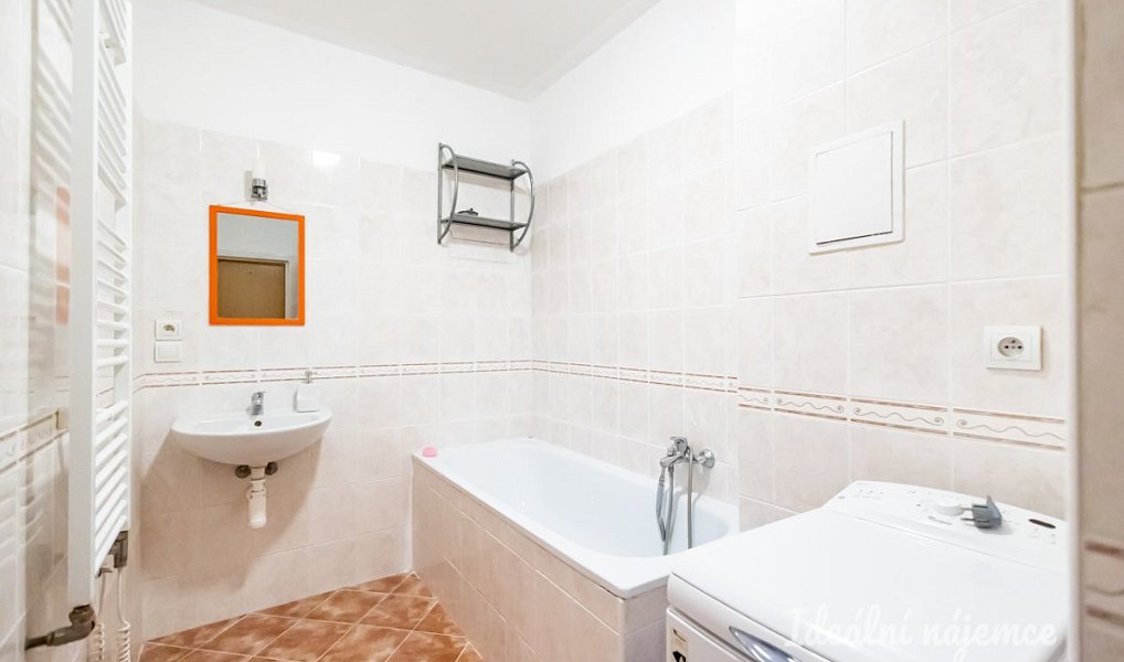Pronájem bytu 1+kk 47 m², Šestajovice – náhled fotky 8