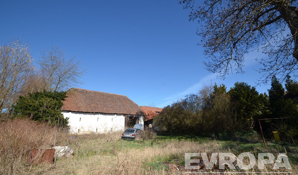 Prodej domu 780 m² s pozemkem 5 958 m², Dolní Hbity – náhled fotky 12
