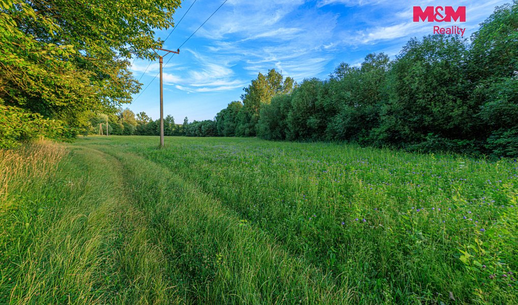 Prodej louky 4 590 m², Horní Bříza – náhled fotky 7