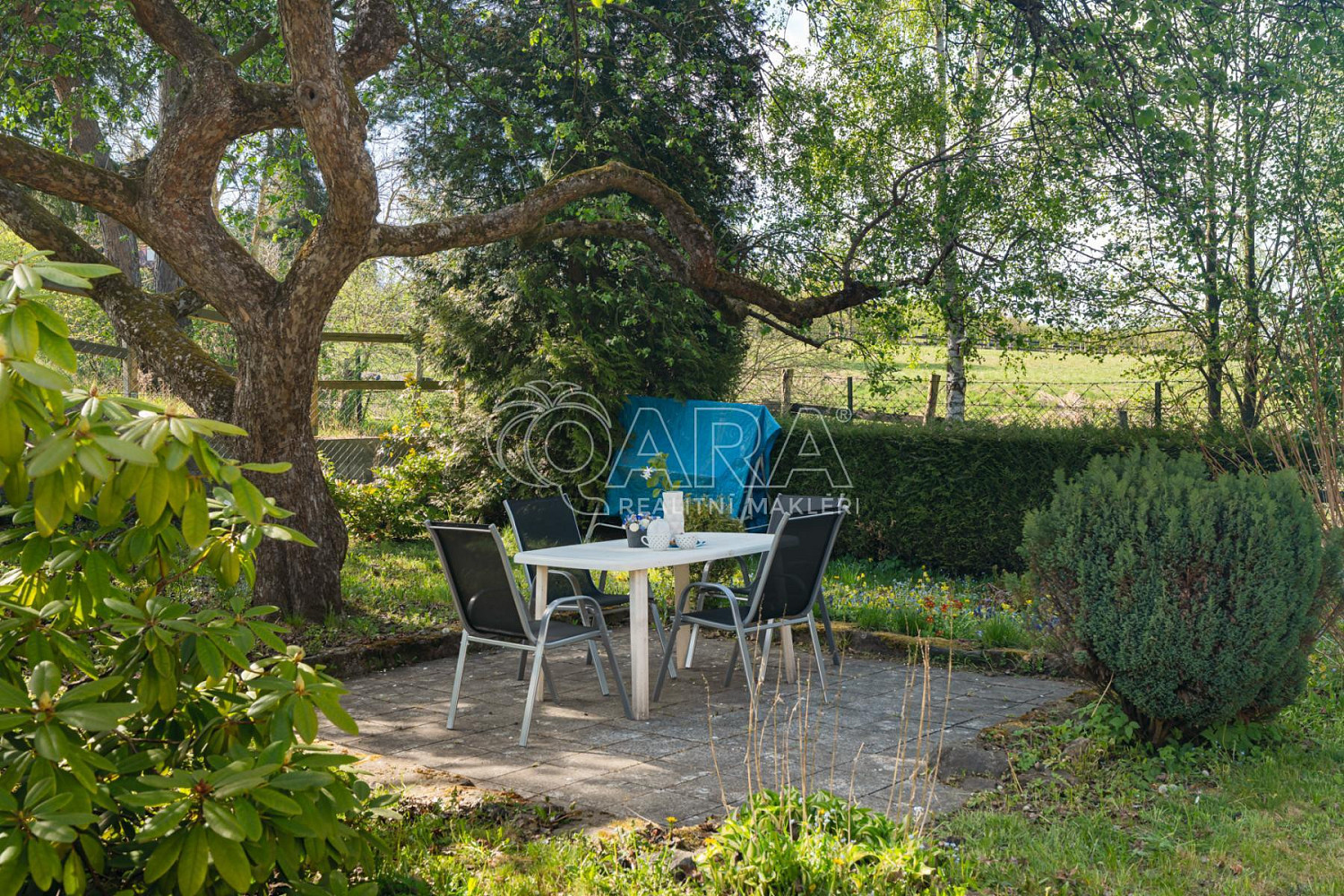 Prodej chaty/chalupy 622 m² s pozemkem 622 m² — photo 5