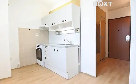 Pronájem bytu 1+1 31 m², Netolická, České Budějovice - České Budějovice 2