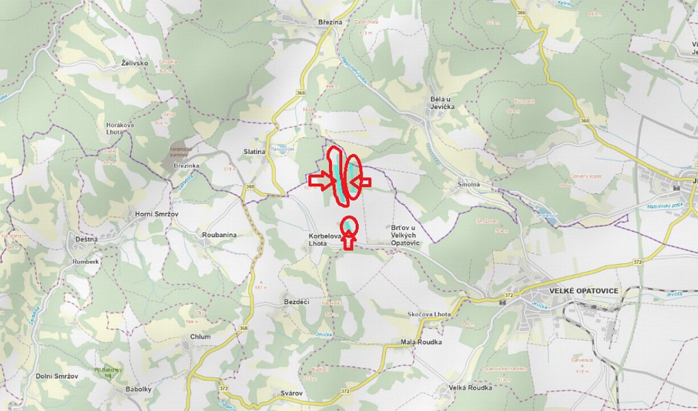Prodej lesa 61 114 m², Dolní Podluží – náhled fotky 21